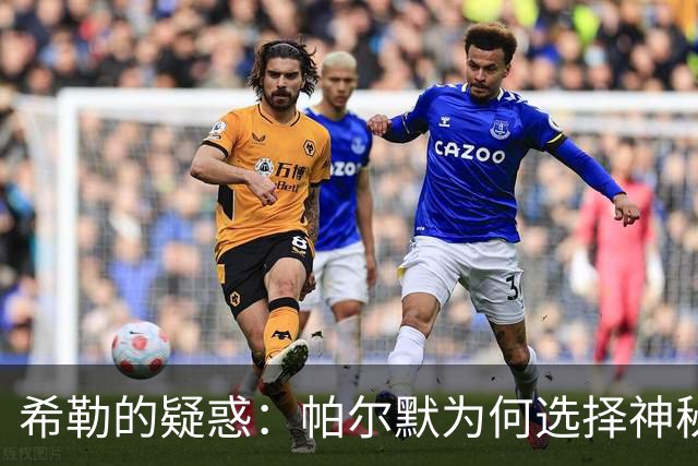希勒的疑惑：帕尔默为何选择神秘“隐退”？