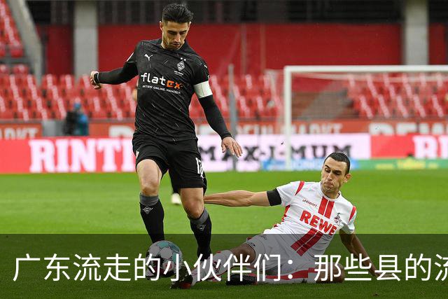 广东流走的小伙伴们：那些县的流出排行榜